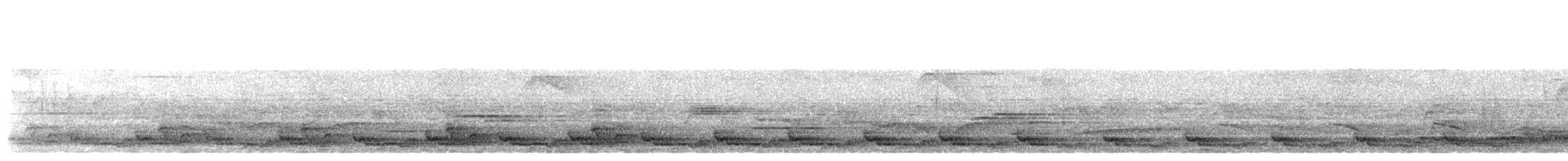 svartbrysttannvaktel - ML560164161