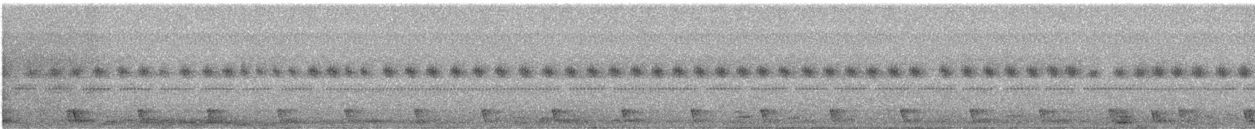 Large-tailed Nightjar - ML560195921