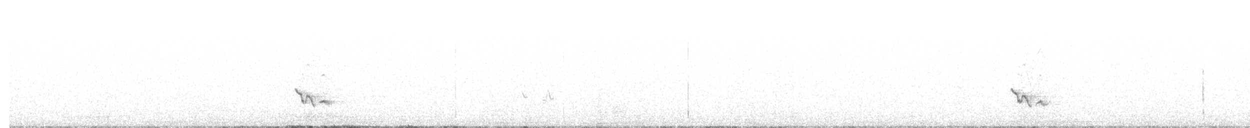 skalníček černoocasý - ML560241261