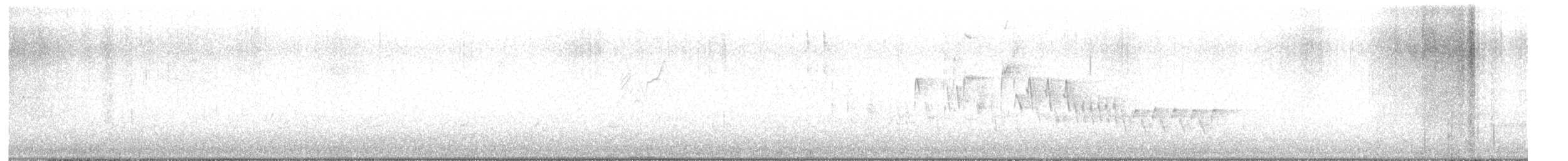 Northern House Wren - ML560277551
