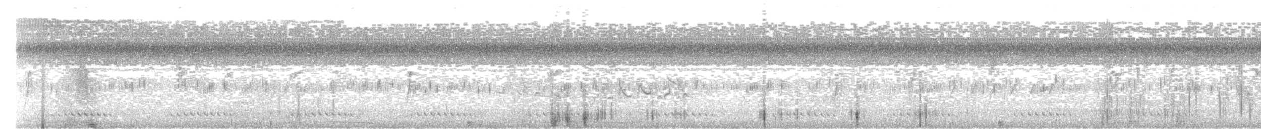 Ash-throated Crake - ML560293201