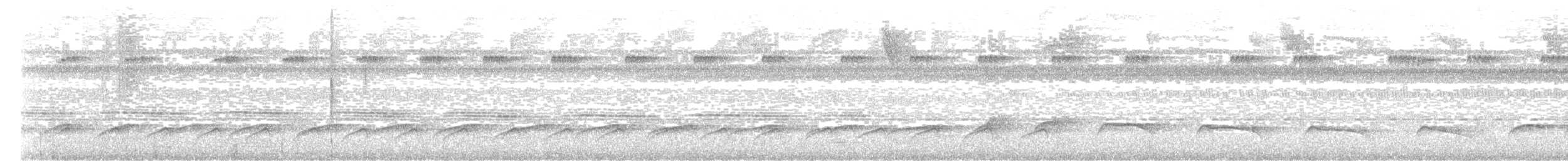 Black-breasted Puffbird - ML560295441