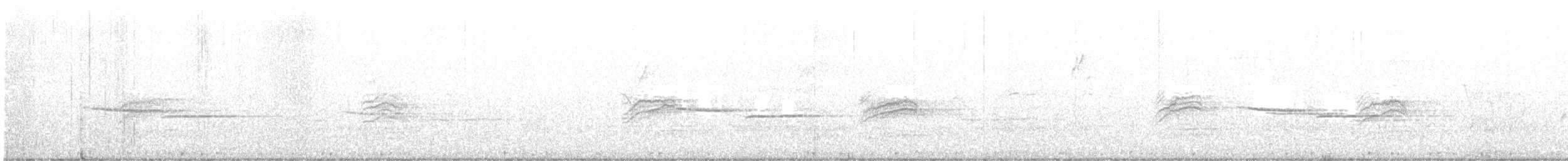 Hermit Thrush - ML560348191