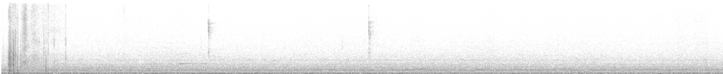 Pacific Wren - ML560354981