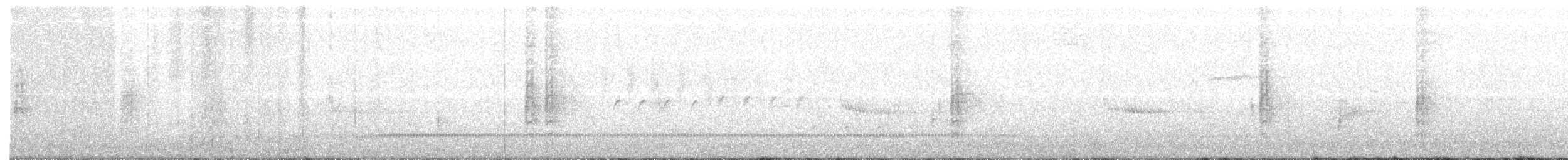 Yellow Warbler (Northern) - ML56036501