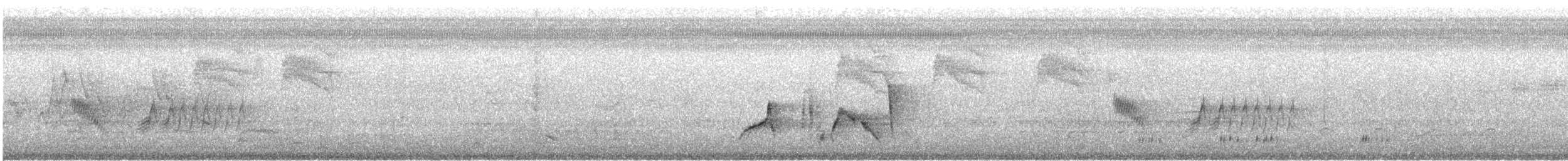Tohi à flancs roux - ML560366211