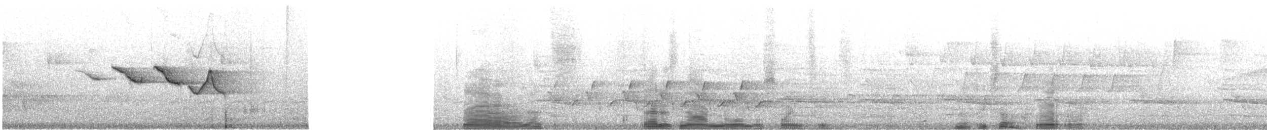 Paruline de Swainson - ML560366291