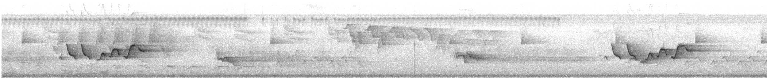 Paruline à capuchon - ML560366431