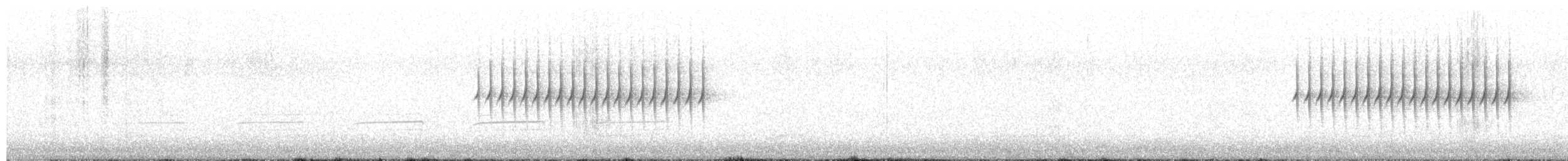 Kara Gözlü Junko (hyemalis/carolinensis) - ML560367681