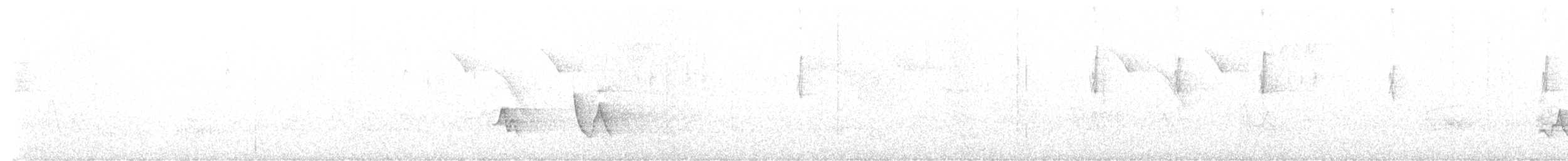 Серогрудая эспаньола - ML560374491