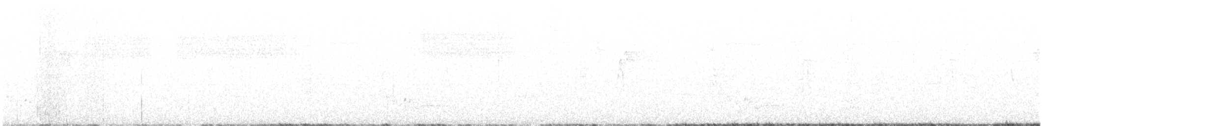 White-bellied Wren - ML560416611