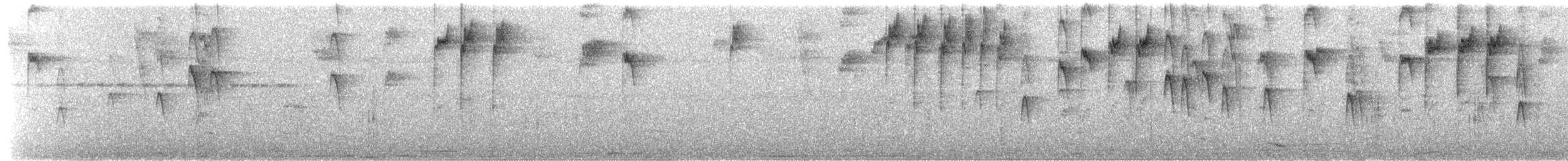 Rotbauchtangare (cyanomelas) - ML560434171