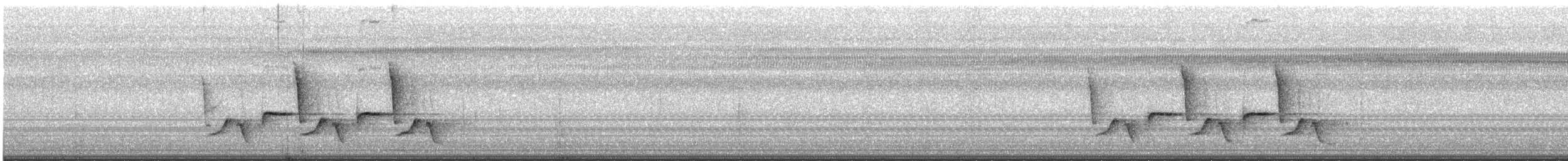 Поплітник каролінський - ML560511621