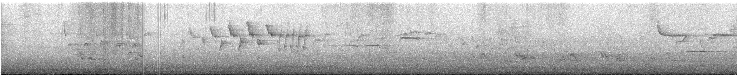 Nashville Warbler - ML560556151
