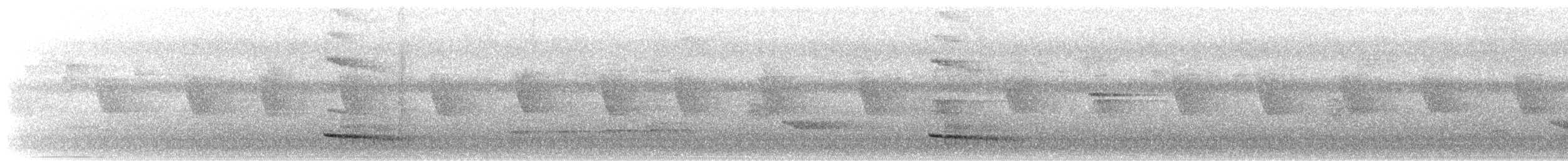 Ошейниковый зимородок - ML560557461