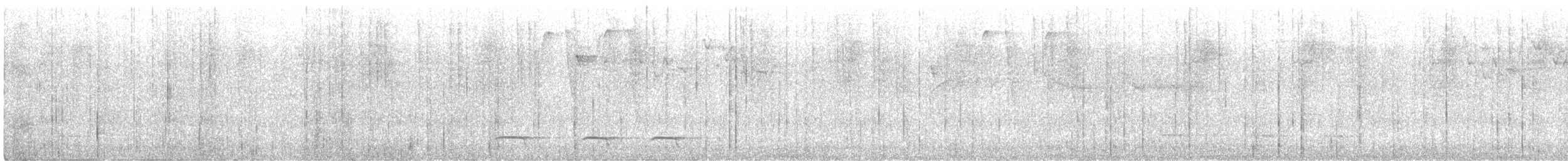 Weißflecken-Ameisenpitta - ML560574571