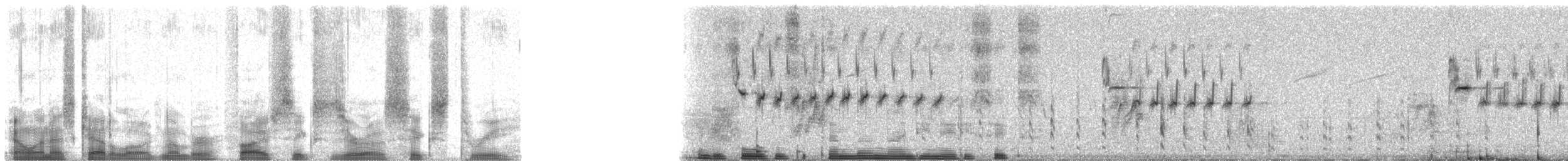 Strohwitwe - ML56063