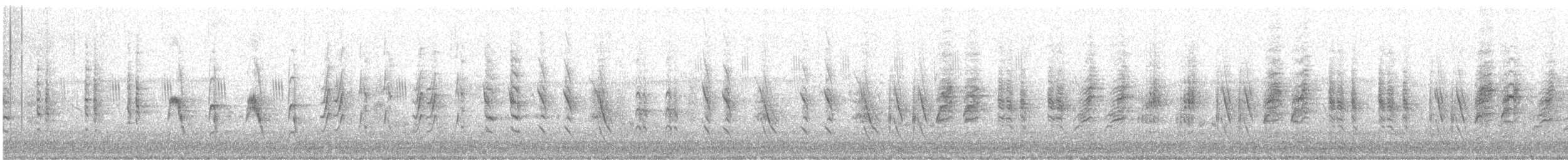 קנית קטנה - ML560658501