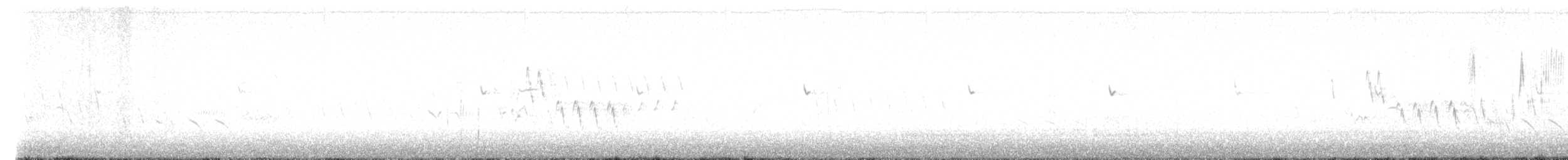 Northern House Wren - ML560675041