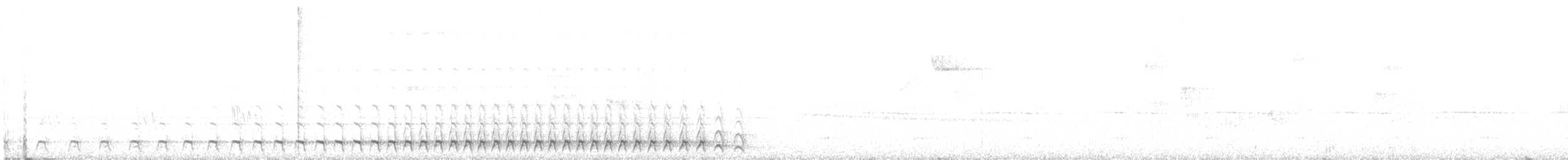 White-tailed Trogon - ML560682601