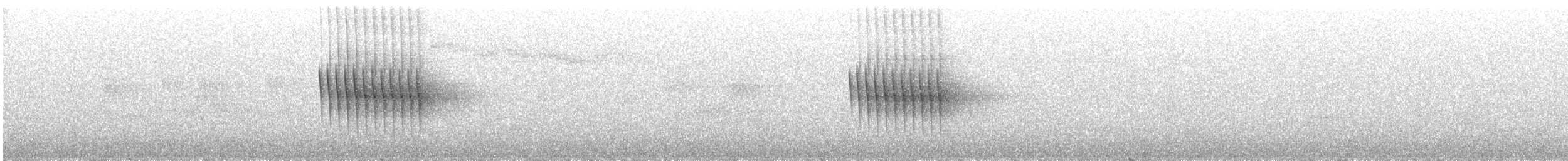 Thorn-tailed Rayadito - ML560689321