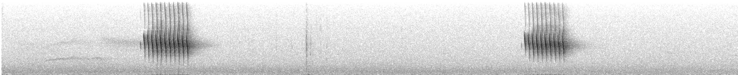 Thorn-tailed Rayadito - ML560692771