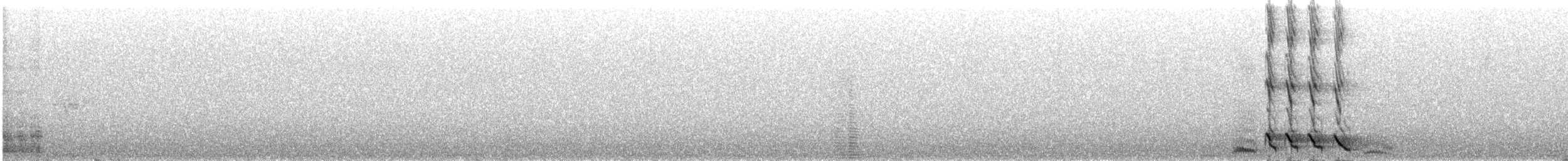 rødstrupetapakulo - ML560697701