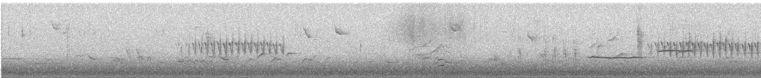 Dark-eyed Junco - ML560745431