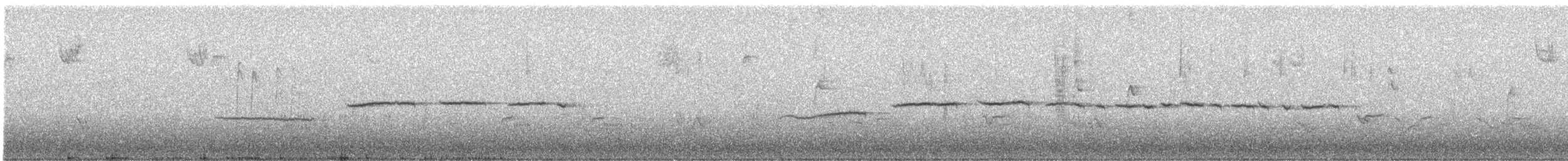 White-throated Sparrow - ML560745551