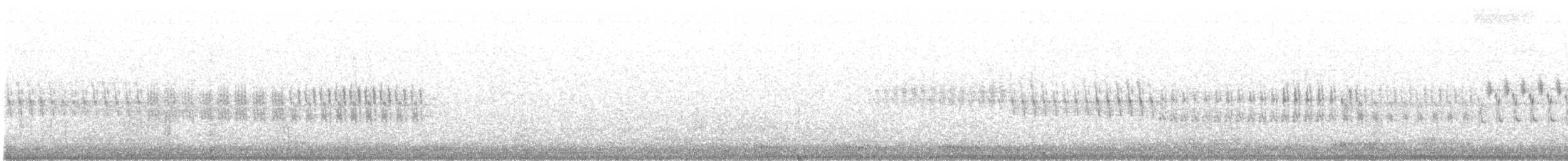 křivka bělokřídlá - ML560779661