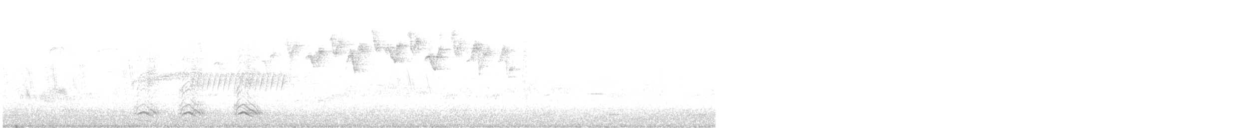 lesňáček černobílý - ML560808911