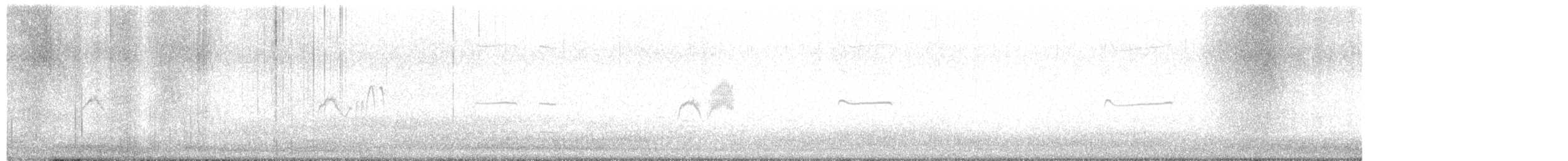 Светлобрюхий фиби - ML560819911