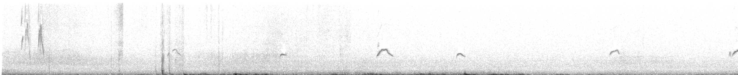 White-bridled Finch (Fuegian) - ML560883551