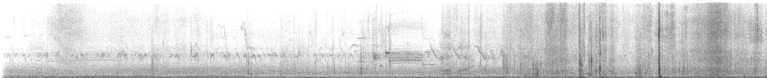 Bec-croisé des sapins - ML560897891