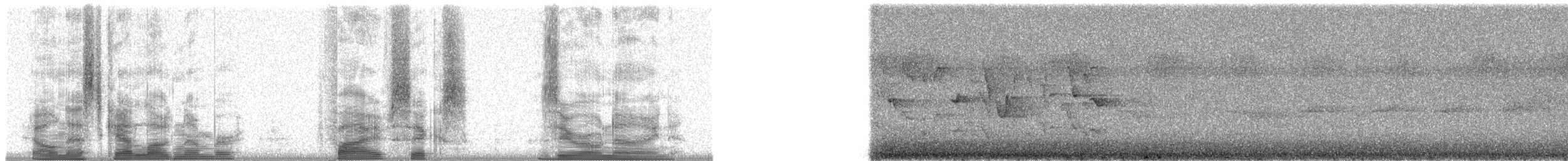Палауская веерохвостка - ML5609