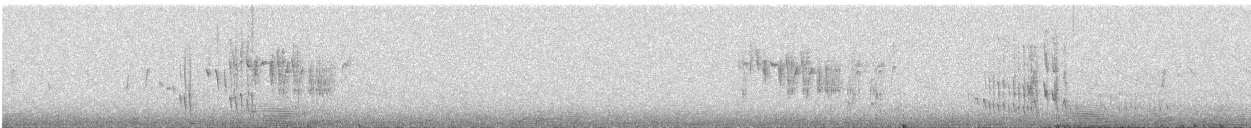 meridablomsterborer - ML560912081