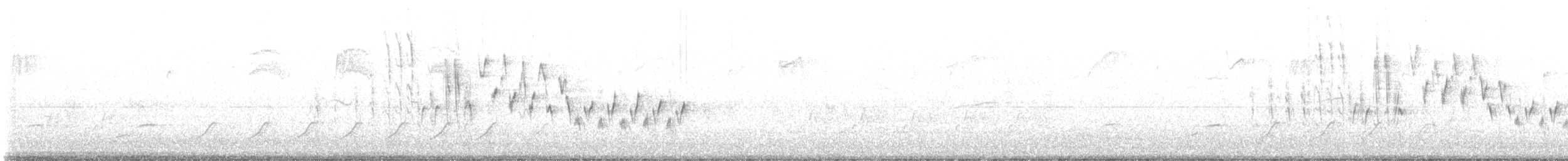 Northern House Wren - ML560953881