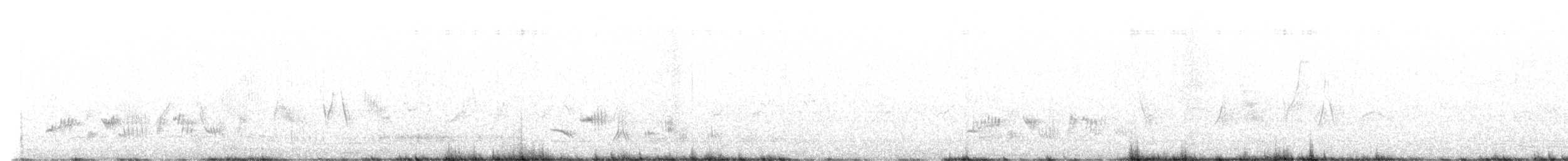 Western Black-eared Wheatear - ML560967711