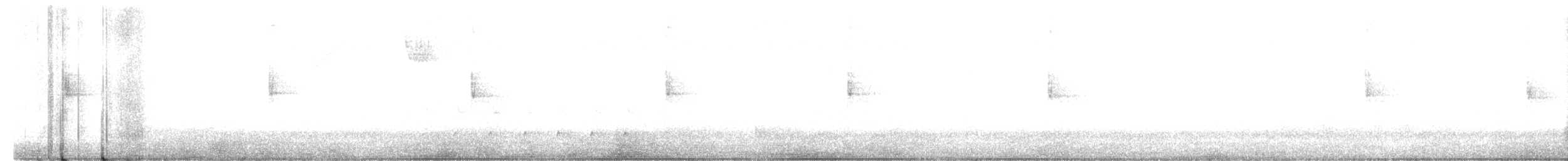 Трясогузковый певун - ML561017371