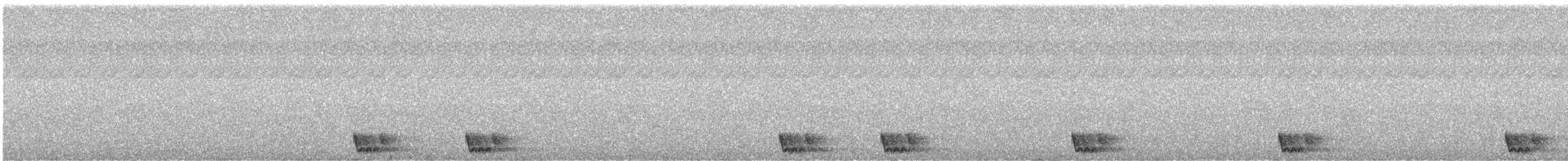 Large-tailed Nightjar - ML561041921