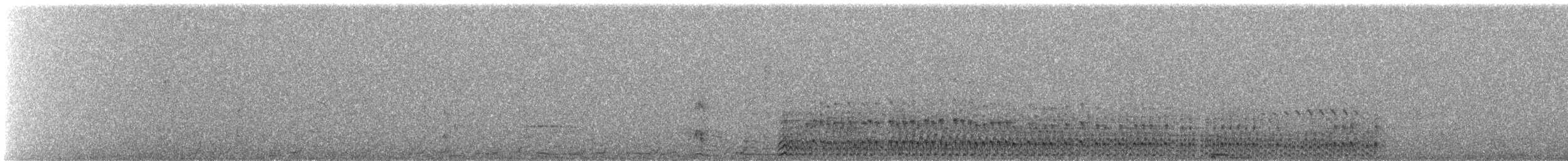 Spotless Crake - ML561049071