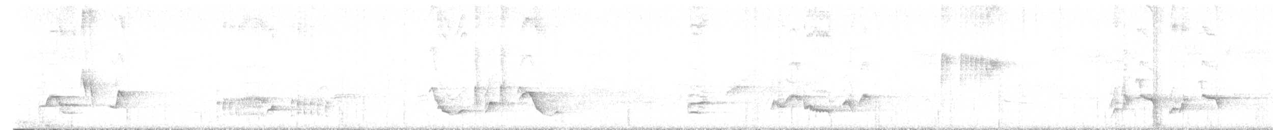 Brown Thrasher - ML561066541