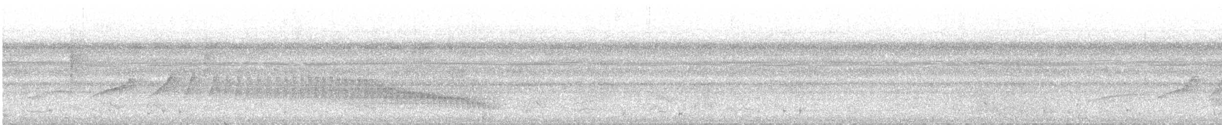 Bluish-slate Antshrike - ML561079471