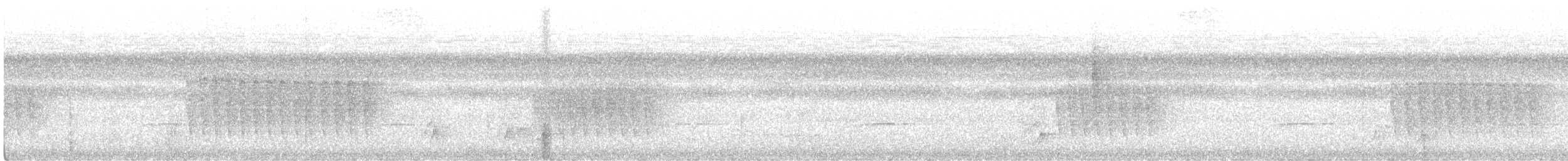 Stripe-chested Antwren - ML561082361