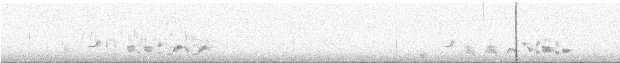 Western Orphean Warbler - ML561120511