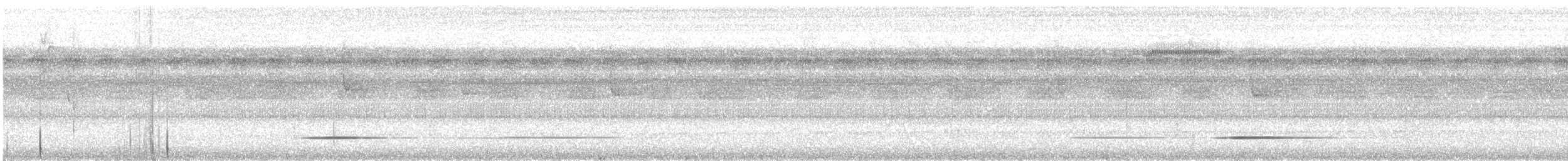 Серый скрытохвост - ML561148071