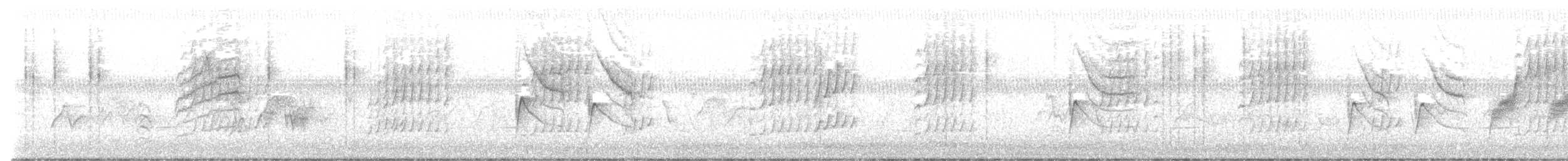 Cisticole paresseuse (groupe aberrans) - ML561154811