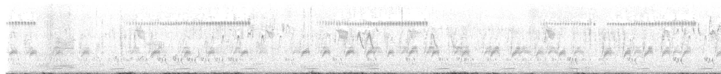 Râle de Böhm - ML561157711