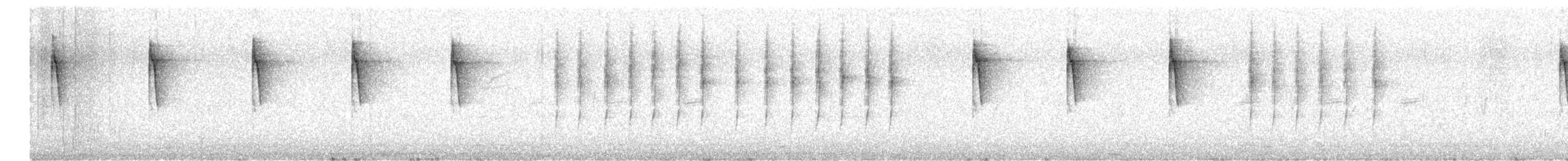 Cisticole des joncs - ML561164681