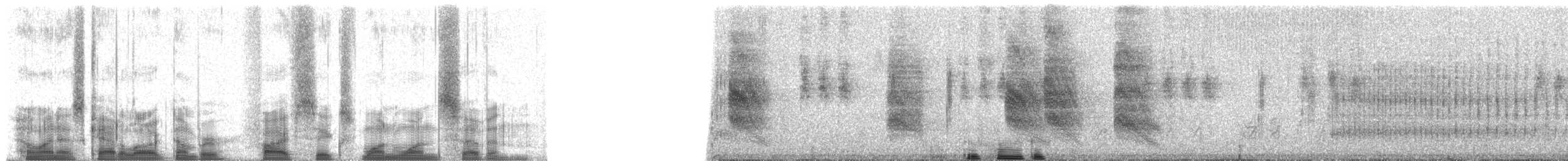 Gelbschnabel-Madenhacker - ML56117